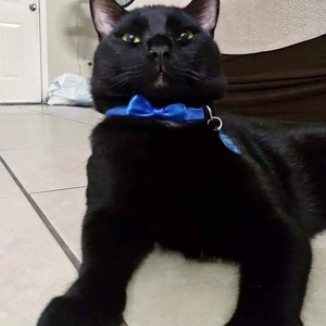 Fundraising Page: April Grindrod